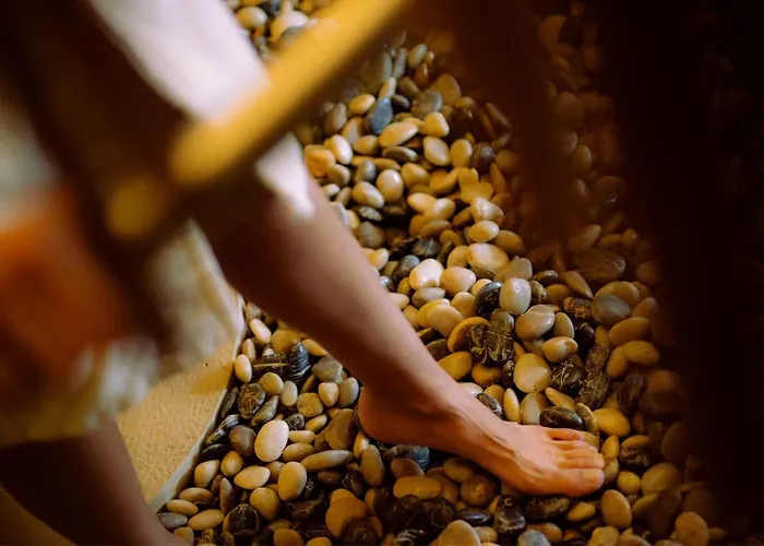 Ξενοδοχείο Marques De Riscal, A Luxury Collection Hotel,