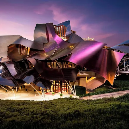 Marques De Riscal, A Luxury Collection Hotel, فندق إلثييغو