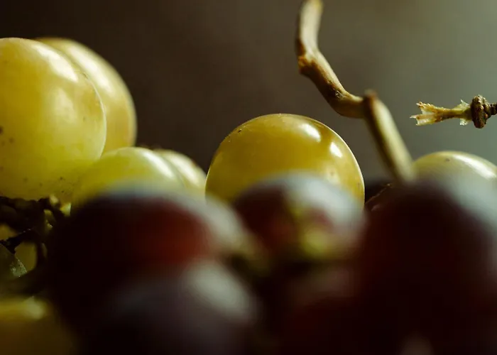 Marques De Riscal, A Luxury Collection Hotel, 5* Elciego