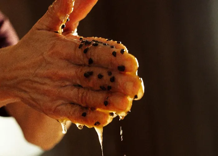 Marqués De Riscal, A Luxury Collection Hotel, Hotel Elciego